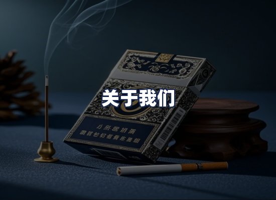 关于我们